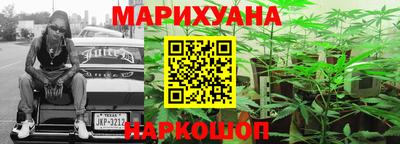 крисы Ливны