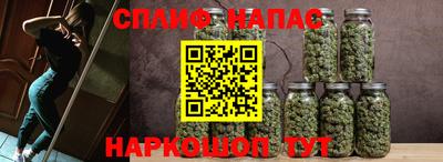 крисы Ливны
