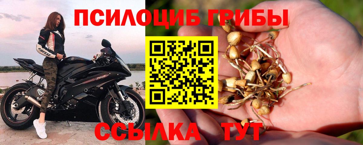 Галлюциногенные грибы мицелий Жигулёвск