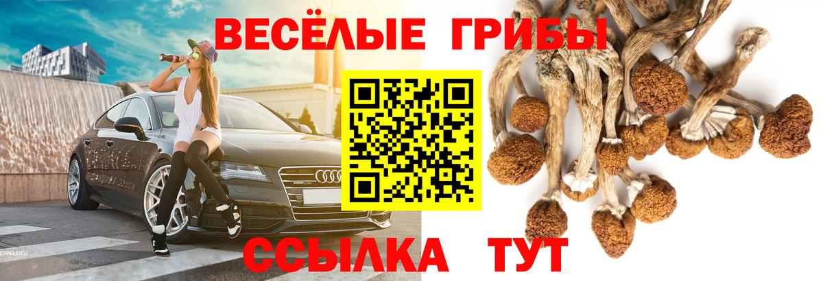 Жигулёвск  Псилоцибиновые грибы мицелий  Вход с VPN 